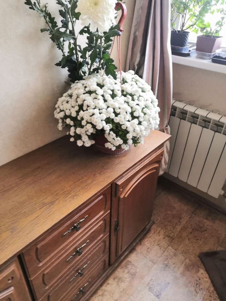 1-к. квартира, 30 м², 6/8 эт.