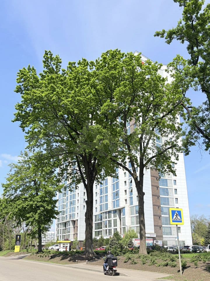 1-к. квартира, 38 м², 2/21 эт.